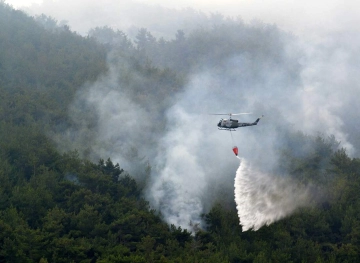 Lebanon .. a fire devouring parts of the largest pine forest in the region