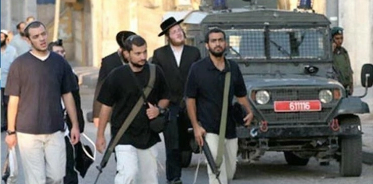 Settlers attack homes and vehicles of citizens in separate areas in the West Bank