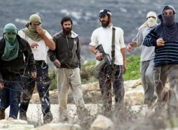 Settlers attack citizens&acute; vehicles south of Nablus