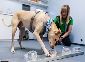 Dogs can detect corona injuries at the airport