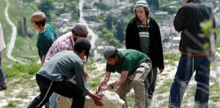 Settlers continue planting trees in the lands of Suwayda in the northern Jordan Valley