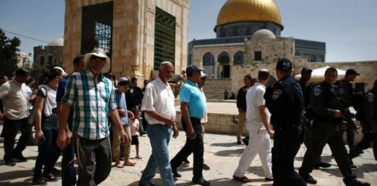 Endowments: The occupation defiled Al-Aqsa 15 times, and the call to prayer in Brahimi was banned 47 times during the past month