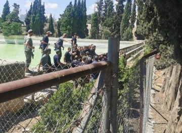 Dozens of settlers storm Suleiman&acute;s ponds under the protection of the occupation army