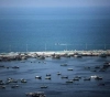 Occupation continues to punish Gaza and decides to cancel measures in favor of the Gaza Strip