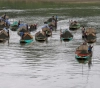 The number of people killed by floods in India rises to 324