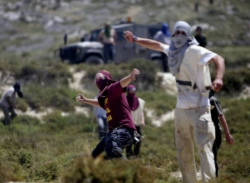 A child was injured when he was stoned by settlers, South of Hebron