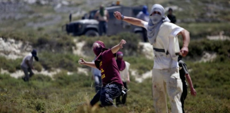A child was injured when he was stoned by settlers, South of Hebron