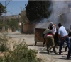 Suffocation injuries as a result of the occupation suppressing the weekly Kafr Qaddoum march