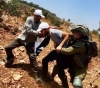 Injuries and arrests in solidarity during the repression of the occupation, an activity against settlements west of Salfit