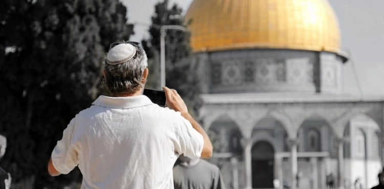 97 settlers storm Al-Aqsa Mosque