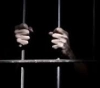 For the sake of life and freedom.. 17 prisoners continue their hunger strike