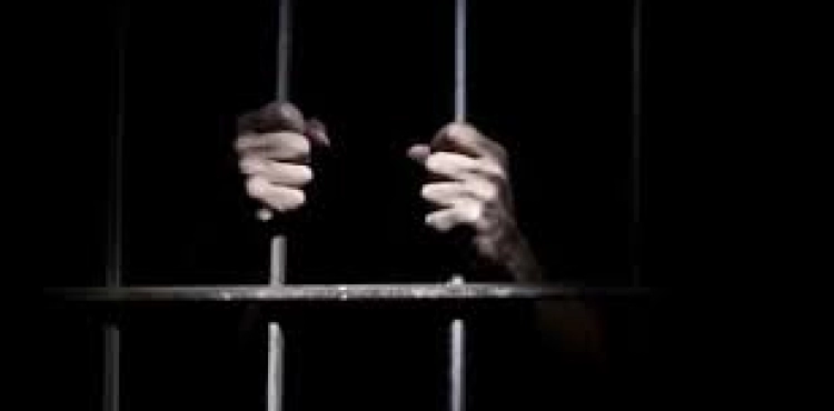 For the sake of life and freedom.. 17 prisoners continue their hunger strike
