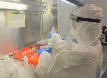 Infections with new strains of Corona virus discovered in Palestine