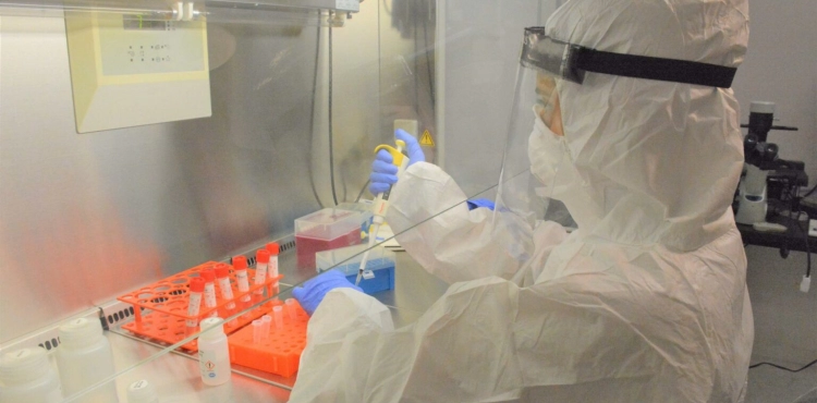 Infections with new strains of Corona virus discovered in Palestine