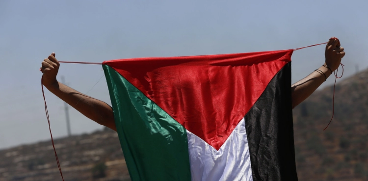 65 international organizations call for justice for the Palestinian human rights commissioner