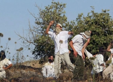 Settlers set up tents near the Ibrahimi Mosque in Hebron