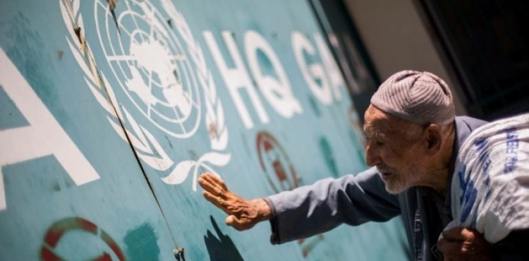 Japan supports UNRWA with more than $1.5 million