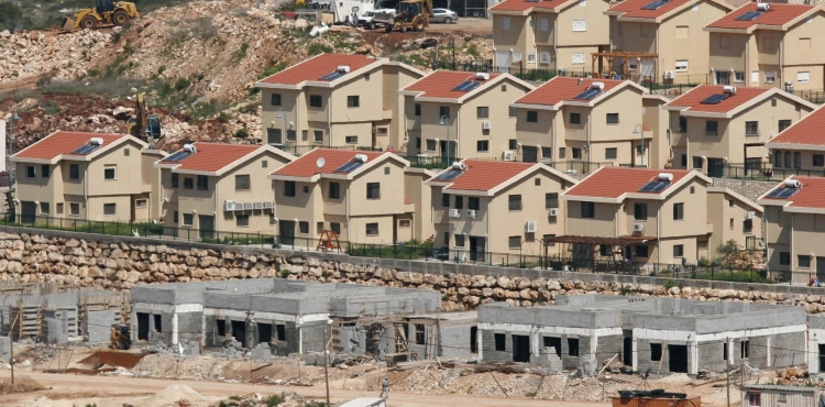Amnesty International: 300,000 people are demanding a cessation of support to settlements