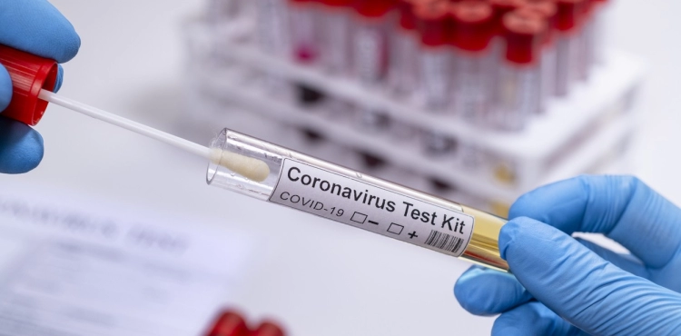 During the past 24 hours ... 66 cases of Corona virus were recorded in Gaza