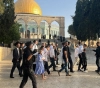 Dozens of settlers storm Al-Aqsa