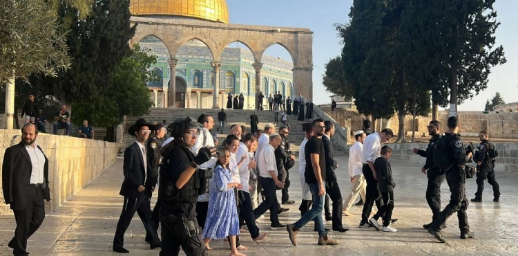 Dozens of settlers storm Al-Aqsa