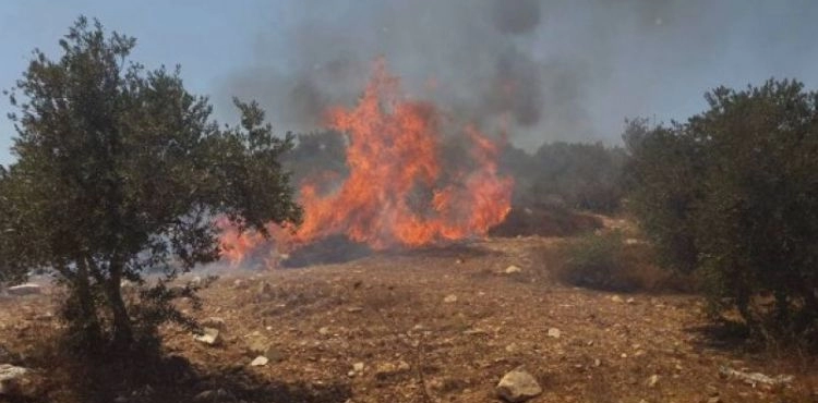 Settlers set fire to agricultural land north of Nablus