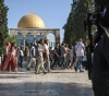 Dozens of settlers storm Al-Aqsa