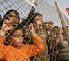 Vegetative: $2 per capita daily income in Gaza, the worst globally