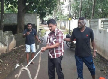 Snakes are attacking houses after floods hit India.