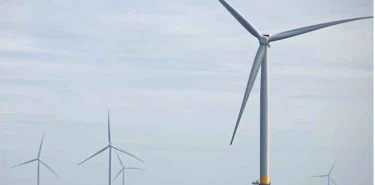 Nine countries join coalition to develop offshore wind energy