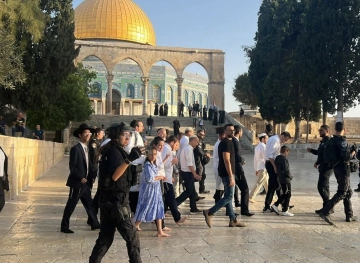 Dozens of settlers storm Al-Aqsa