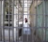 Prisoners&acute; Authority: 242 administrative detention orders were issued against a number of prisoners during the past month