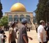 Dozens of settlers storm Al-Aqsa