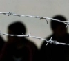 Prisoners Authority: Signs of fatigue and exhaustion began to appear on the hunger strikers