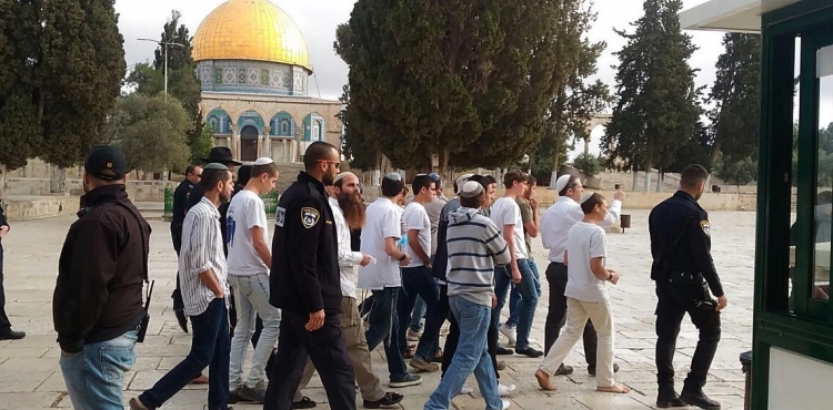 Dozens of settlers storm Al-Aqsa