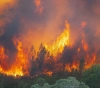 California fires emerge from space and embarrass America