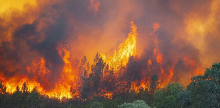 California fires emerge from space and embarrass America