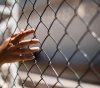 11 prisoners in the occupation prisons continue their hunger strike