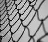 13 prisoners on hunger strike in the occupation prisons