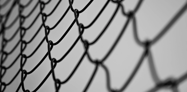 13 prisoners on hunger strike in the occupation prisons