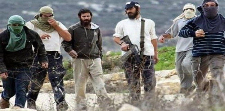 Settlers attack citizens in Khirbet Zanouta in the town of Al-Dhahiriya