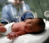 Gaza: 3,176 newborns and 286 deaths last month