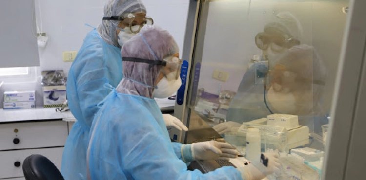 Gaza: Large contact size and laboratory swabs are insufficient