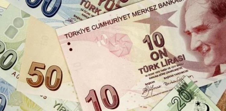 Expert: Turkey-Argentina crisis paves the way for new currencies to collapse against dollar