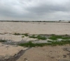The occupation forces flooded 500 dunums of agricultural land east of Gaza City