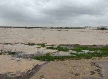 The occupation forces flooded 500 dunums of agricultural land east of Gaza City
