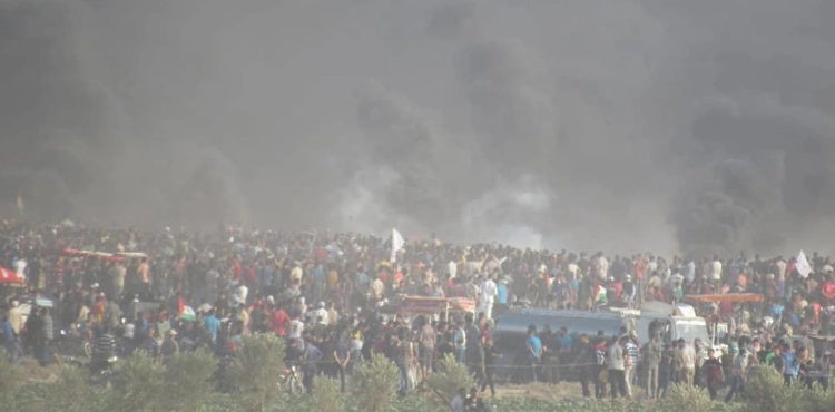 7martyrs and hundreds of injuries by occupation in Gaza
